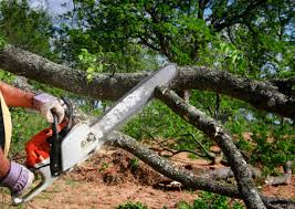 Best Lawn Grading and Leveling  in South Pasadena, CA